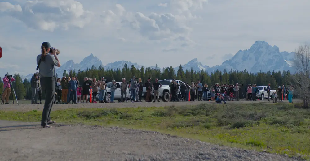Crowd of visitors gathered on a roadside beneath the Teton Range