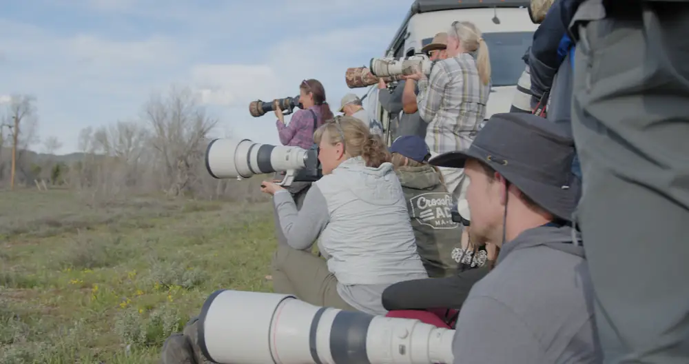 A row of photographers with large telephoto lenses