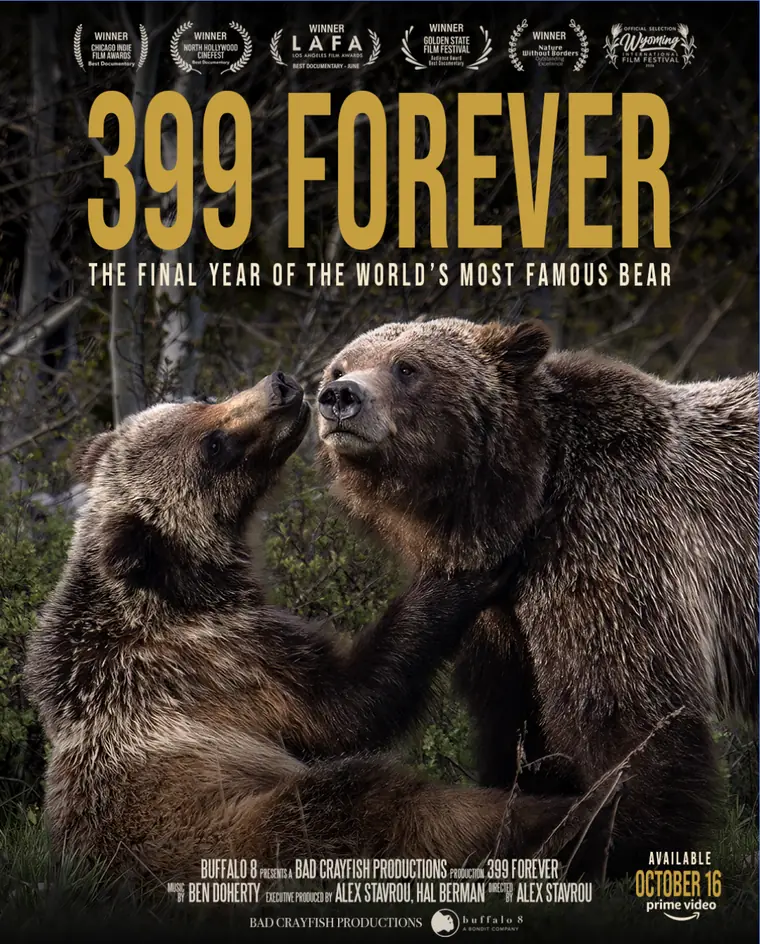 399 Forever theatrical poster: two grizzlies sparring beneath the title and six festival laurels